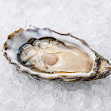 Verse Zeeuwse Creuse Oester