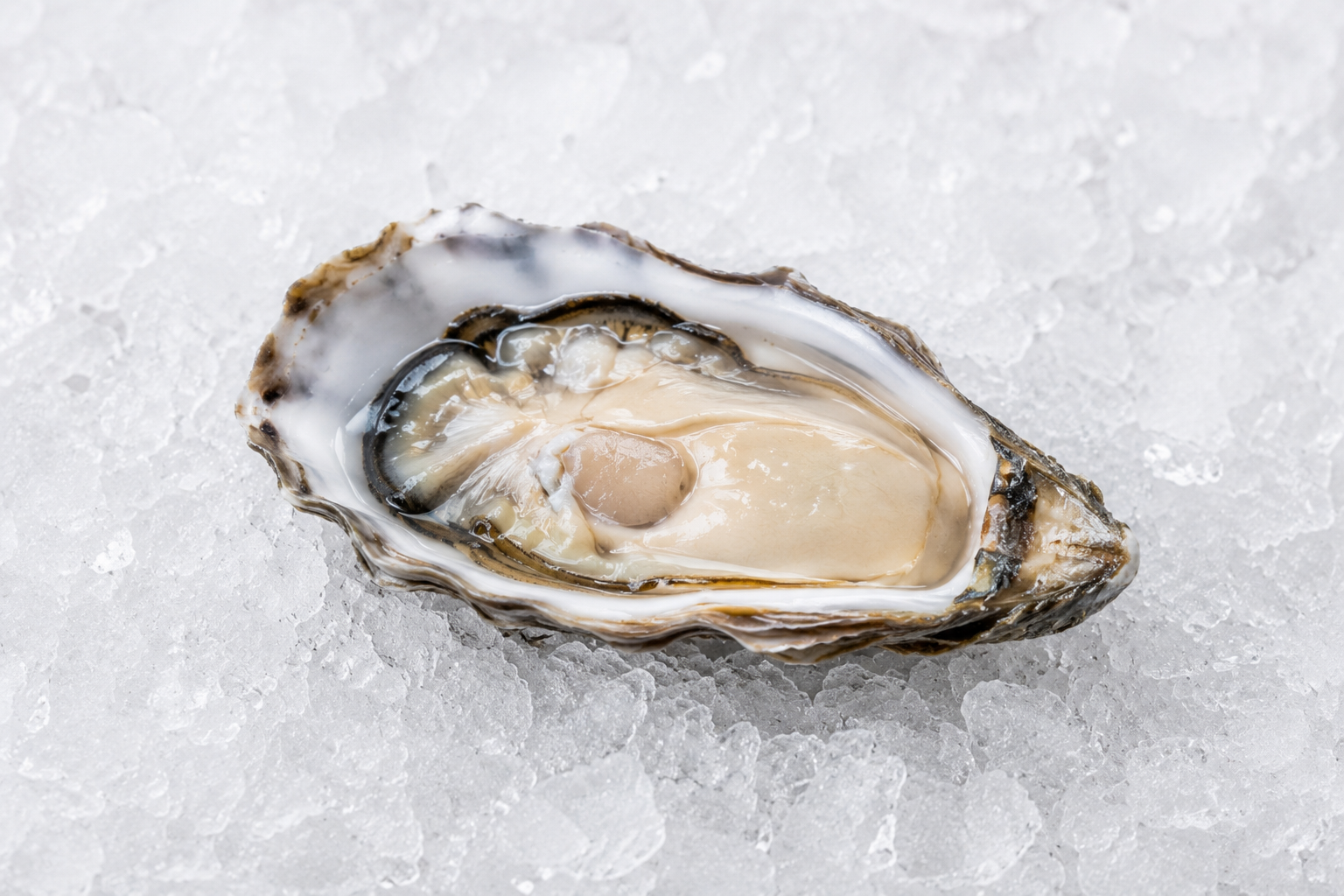 Verse Zeeuwse Creuse Oester