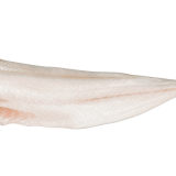 Verse Schelvisfilet