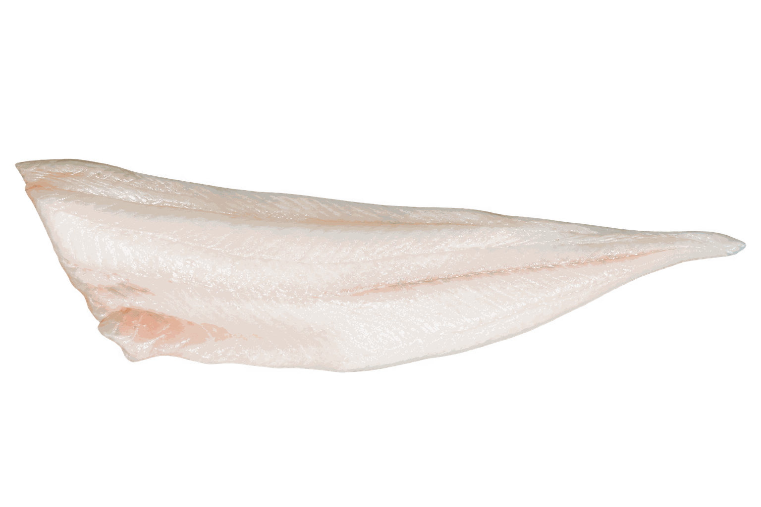Verse Schelvisfilet
