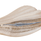 Verse Scholfilet
