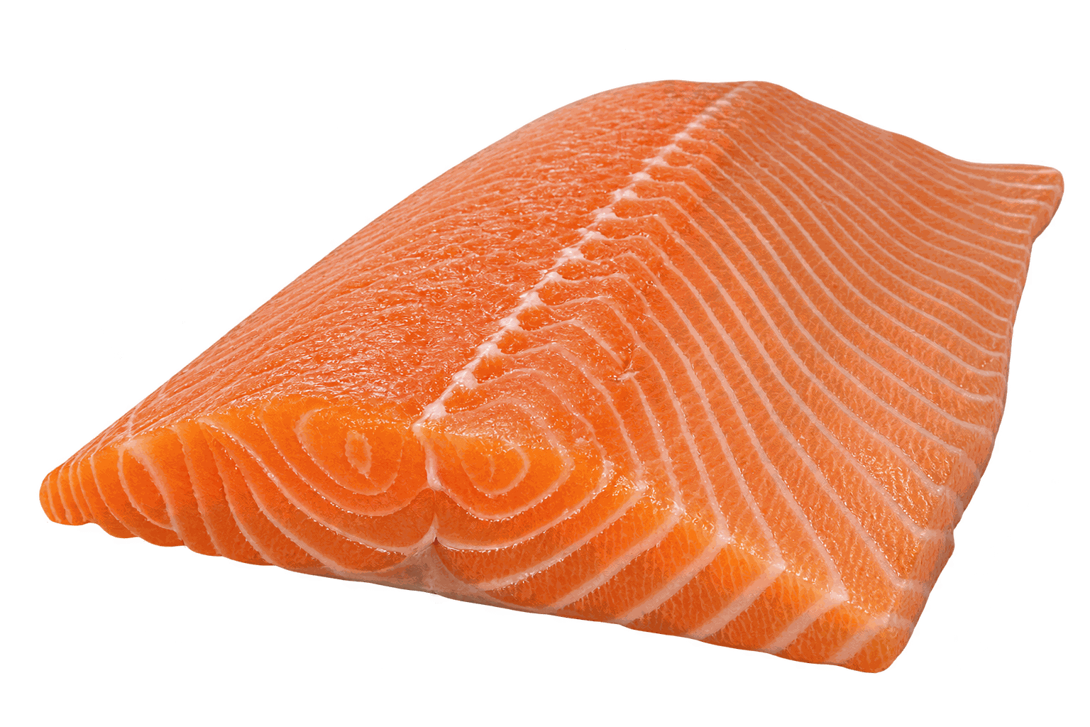 Verse Zalmfilet